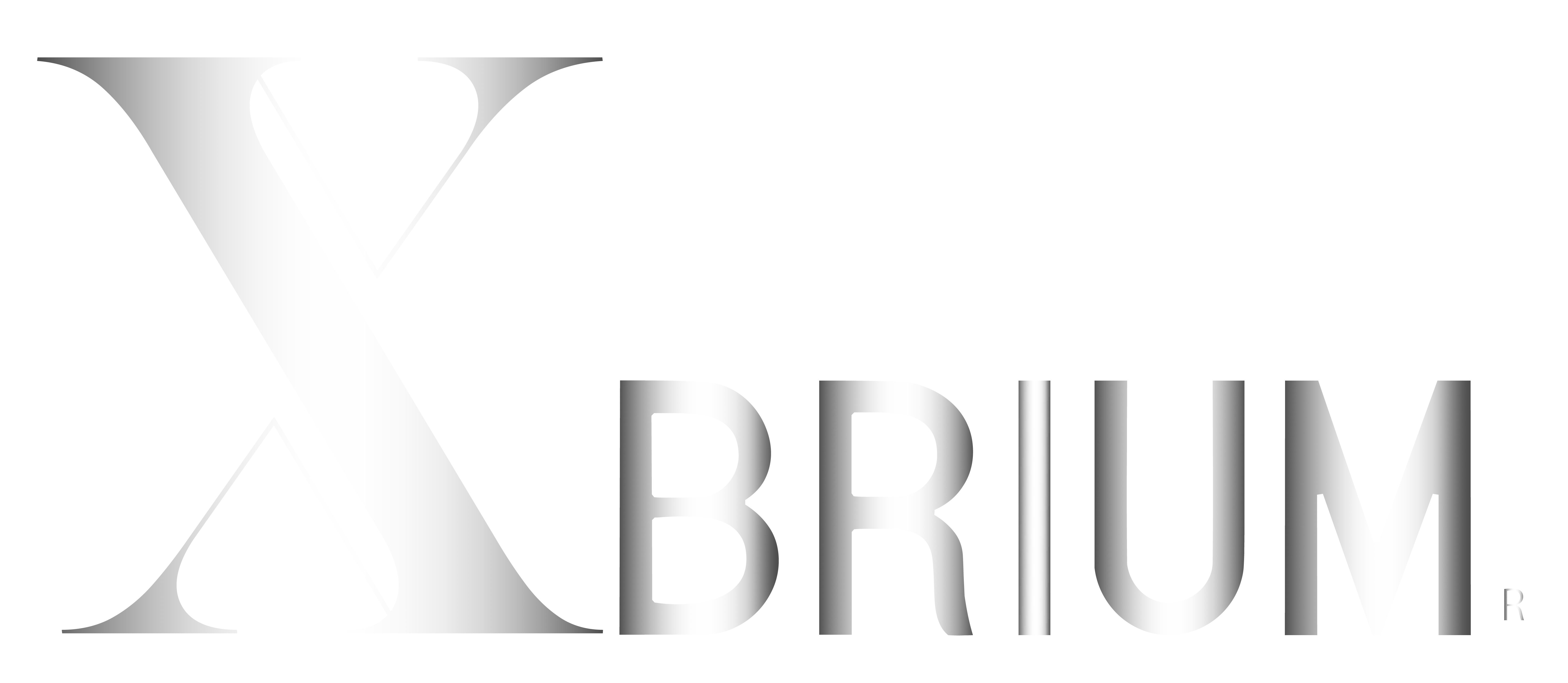 XBRIUM LLC Logo